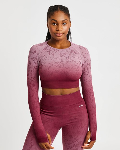 AYBL Flare Seamless Long Sleeve Crop Top Plum | 0378-UZIML
