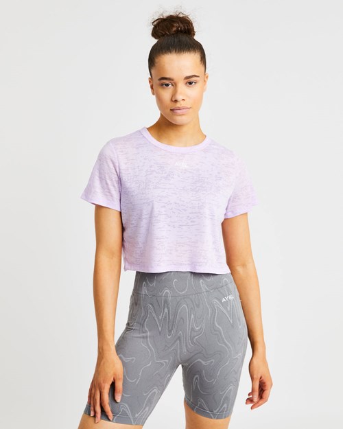AYBL Velocity Crop T Shirt Lilac | 3184-EZALB